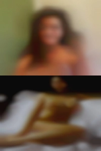 dailiegause, , 