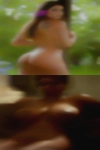 curticePetterson1967, , 