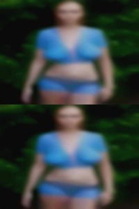 Carmelinaconsani, , 